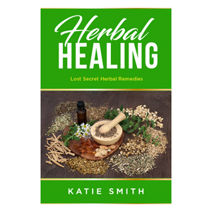 eBook Cover Design by abdul700 for this project | Design: #33284869