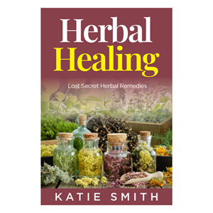 eBook Cover Design by abdul700 for this project | Design: #33296622