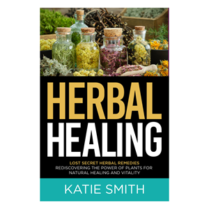 eBook Cover Design by abdul700 for this project | Design: #33300361