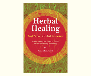 eBook Cover Design by Konka for this project | Design: #33293594