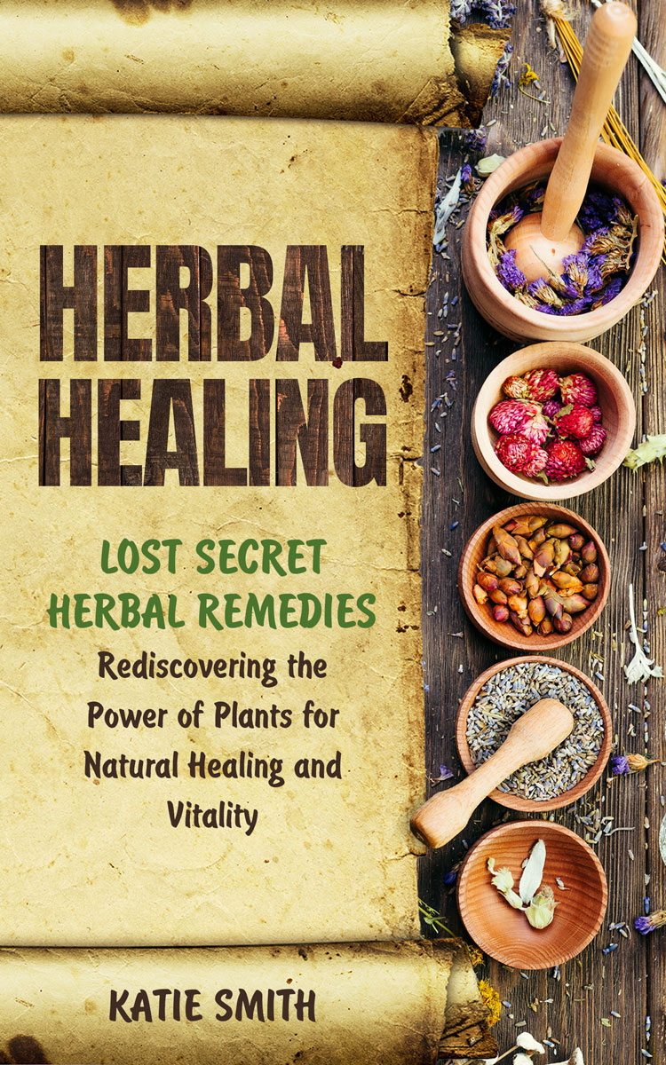 eBook Cover Design by elenaivanova for this project | Design #33313611