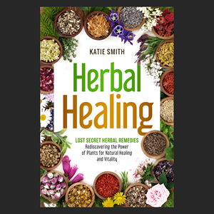 eBook Cover Design by aj for this project | Design: #33302639