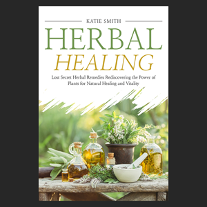 eBook Cover Design by aj for this project | Design: #33313659