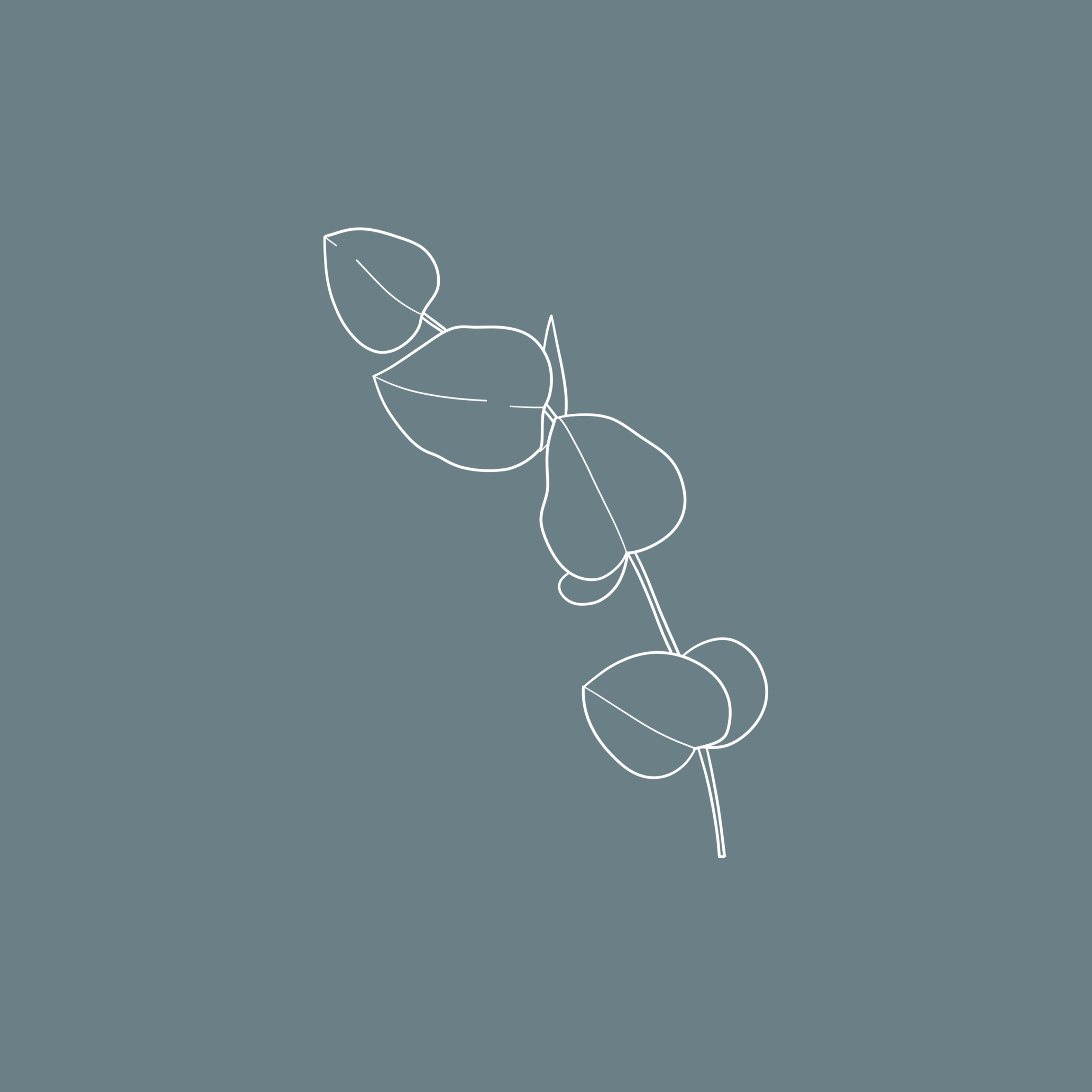 Diseño de Logo por Sibylla para este proyecto | Diseño #33384058