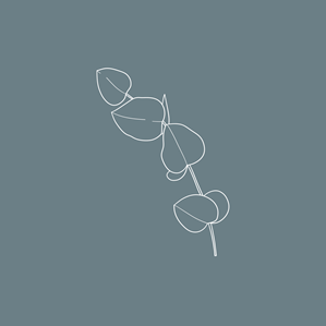 Logo Design by Sibylla for this project | Design: #33384058