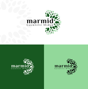 Logo Design by jackstudioo.com