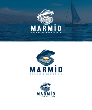 Logo Design by Amethystica for this project | Design: #33335365