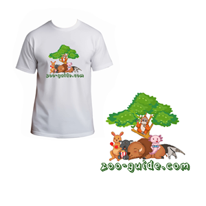 T-shirt Design by bethmage janaka