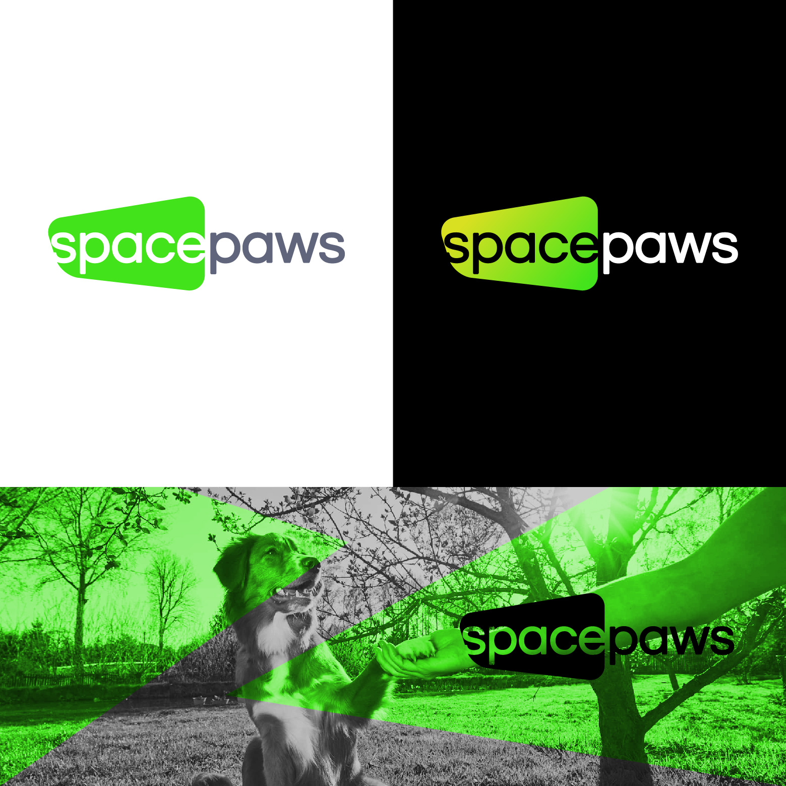 Logo Design by 4tech services for this project | Design #33304441