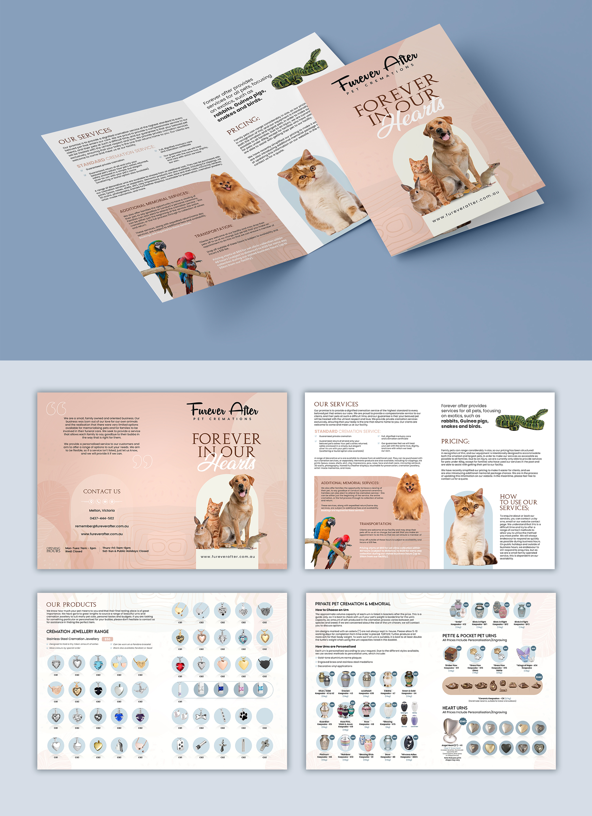 Catalogue Design by debdesign for this project | Design #33323265