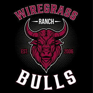 T-shirt Design by perfectionist_r