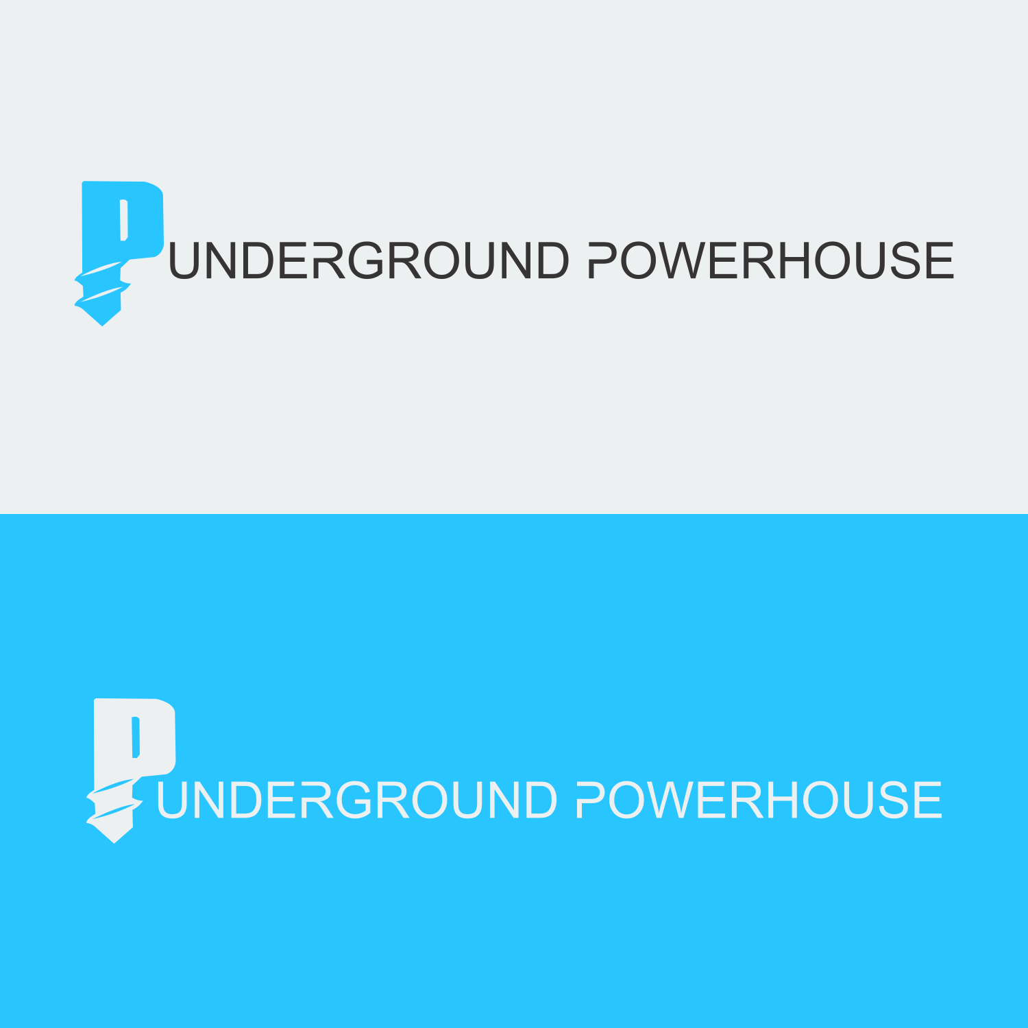 Logo Design by pusing for this project | Design #33318406