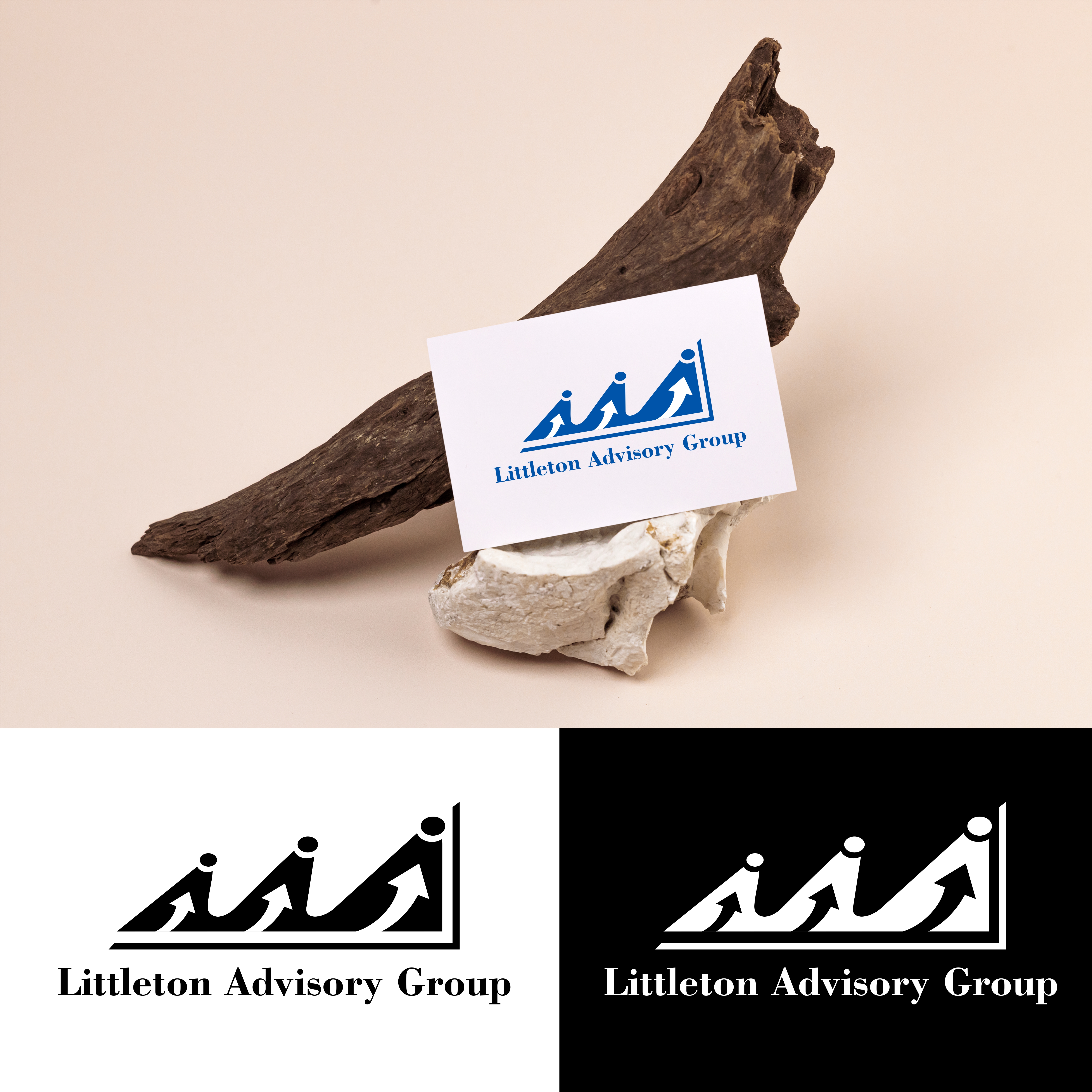 Logo Design by SR Graphics G for Littleton Advisory Group | Design #33325481