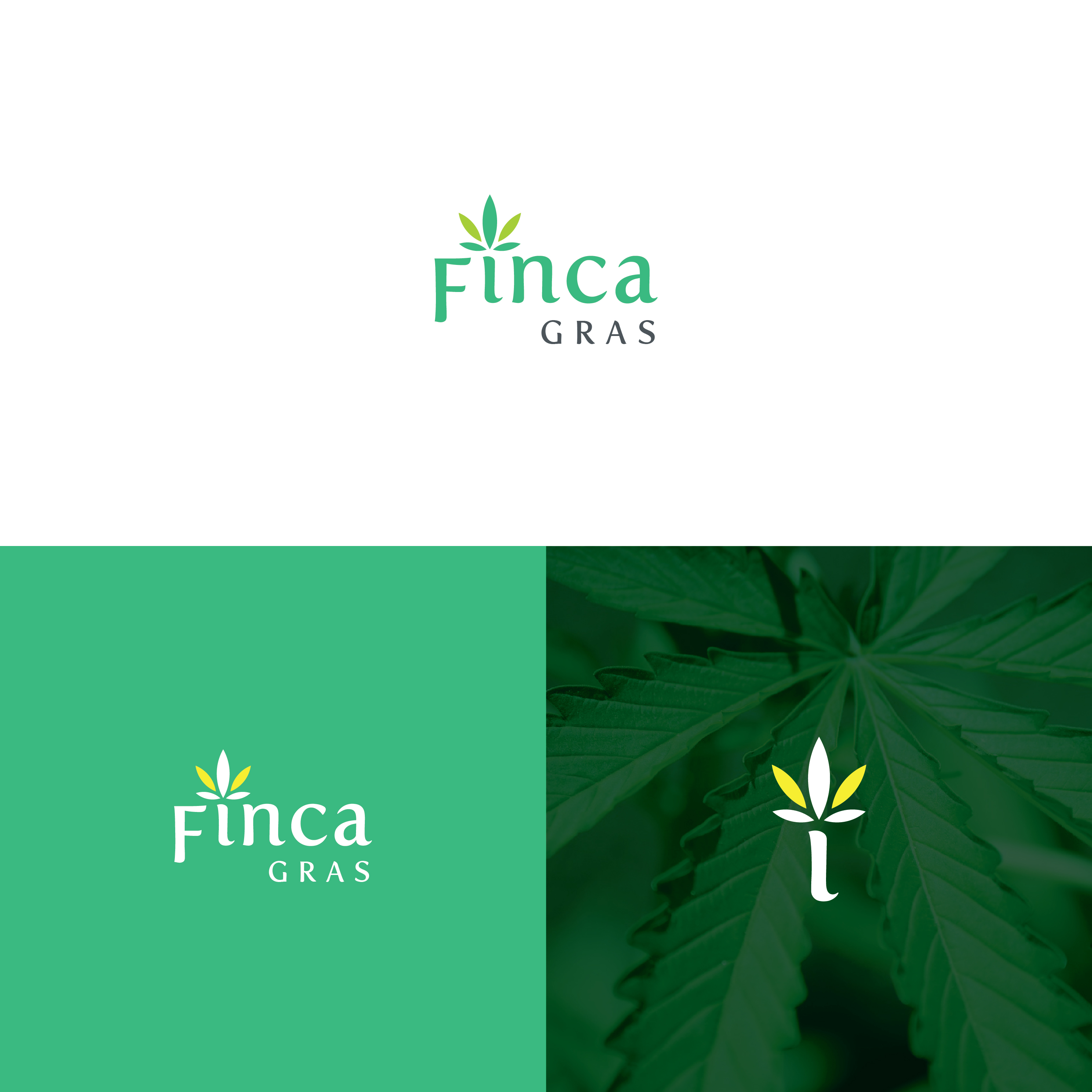 Design de Logo par Muhammad Imran 3 pour ce projet | Design #33322858