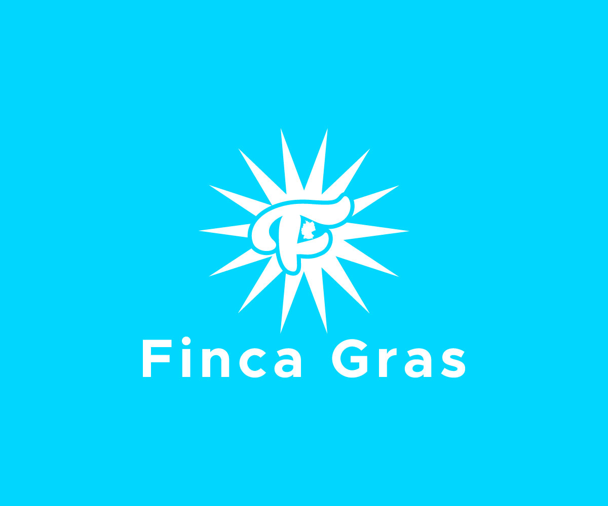 Logo Design by Ansh Design for this project | Design #33322878