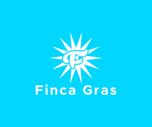 Diseño de Logo por Ansh Design para este proyecto | Diseño: #33322878