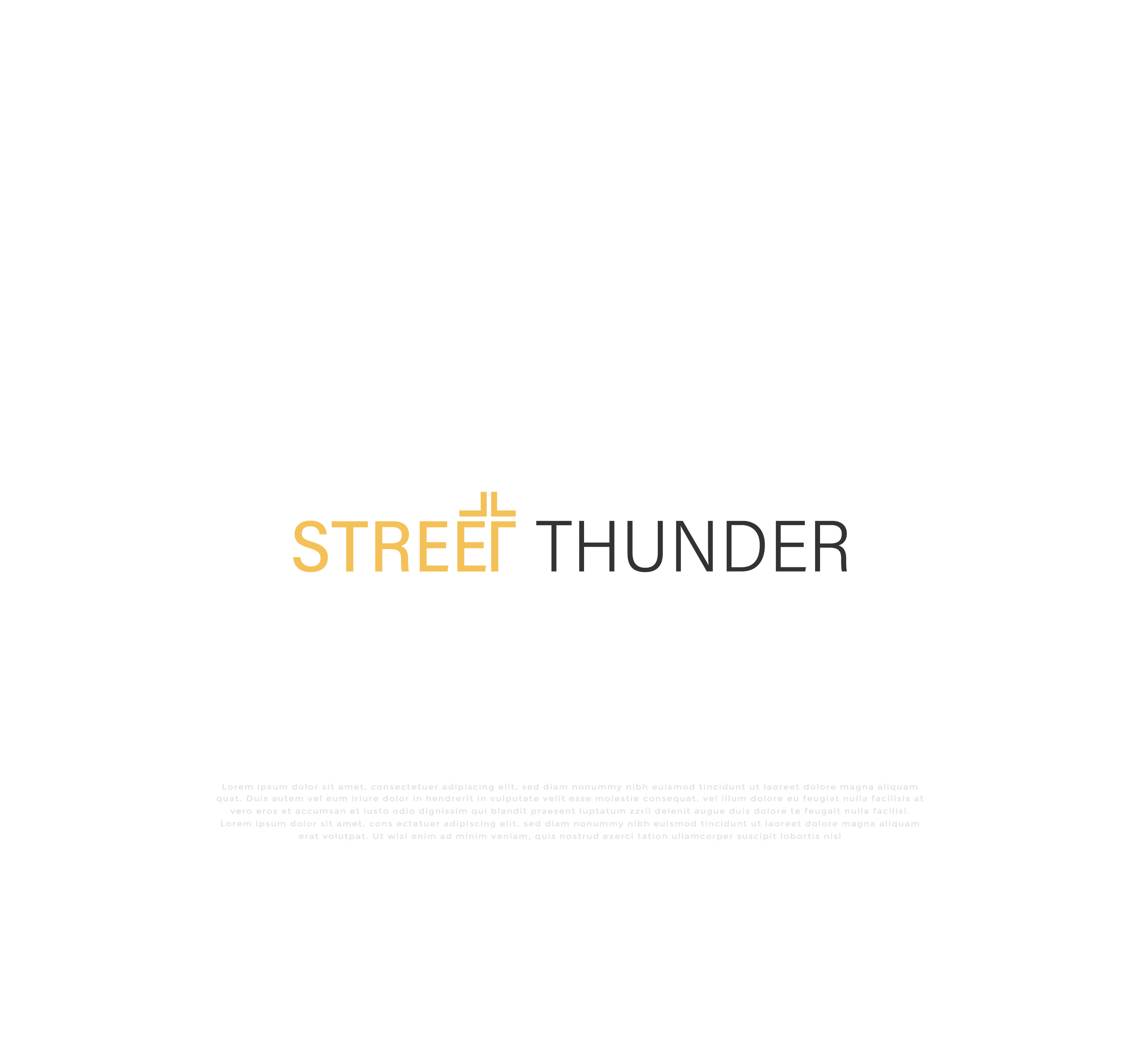 Design de Logo par mehedi.h pour Street Thunder Productions | Design #33324799