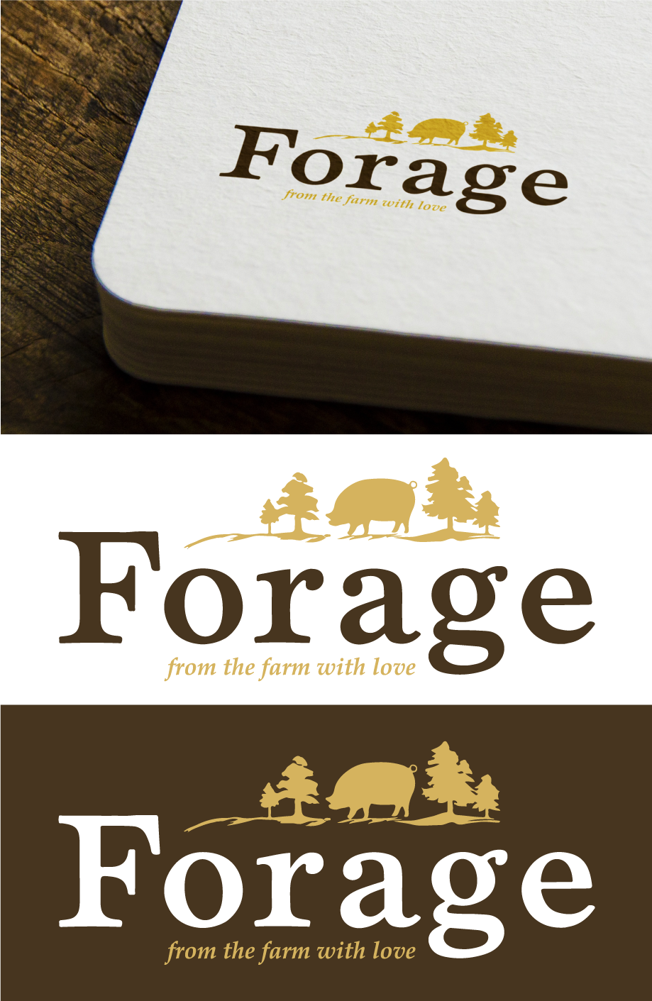 Design de Logo par ctoon 2024 pour ce projet | Design #33364539