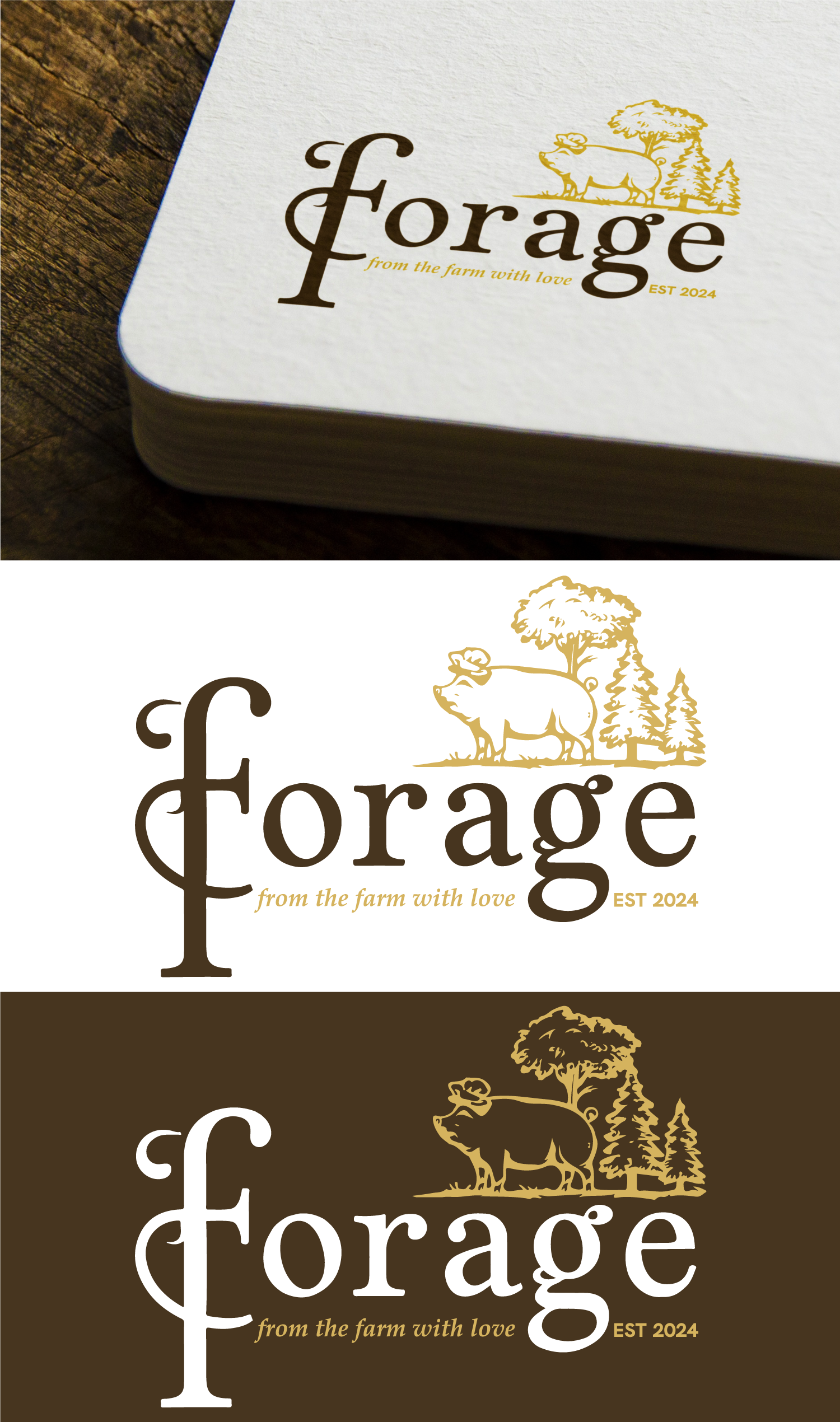 Design de Logo par ctoon 2024 pour ce projet | Design #33364759