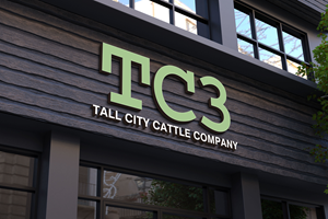 Logo Design by Kavth for this project | Design: #33366369