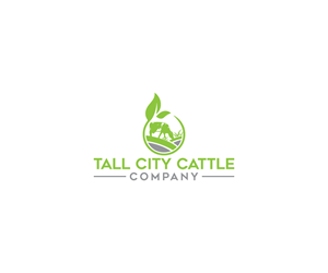 Logo Design by Spark  Design for this project | Design: #33332502