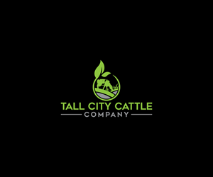 Logo Design by Spark  Design for this project | Design: #33332503
