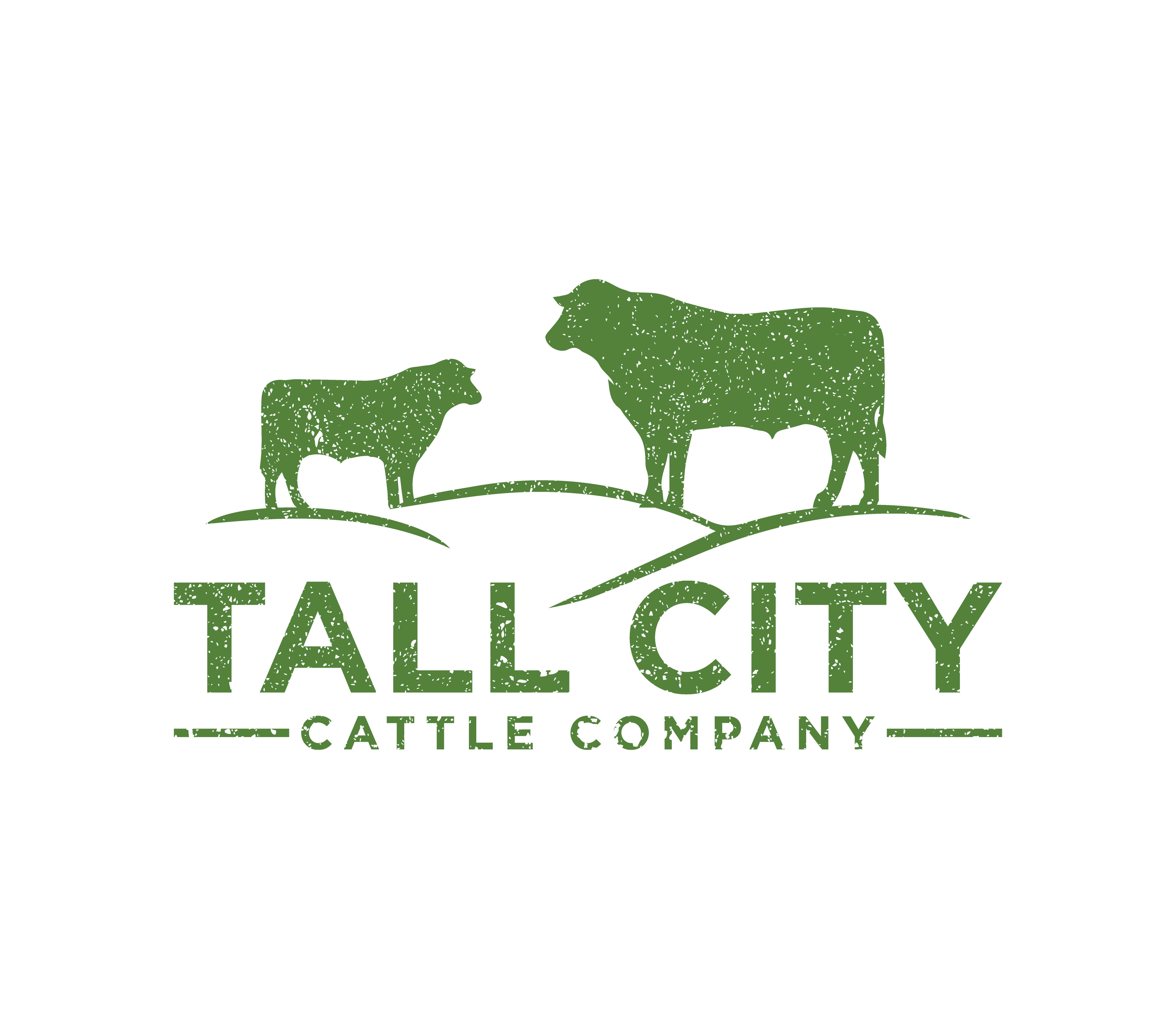 Logo Design by Nova_Create for this project | Design #33334162