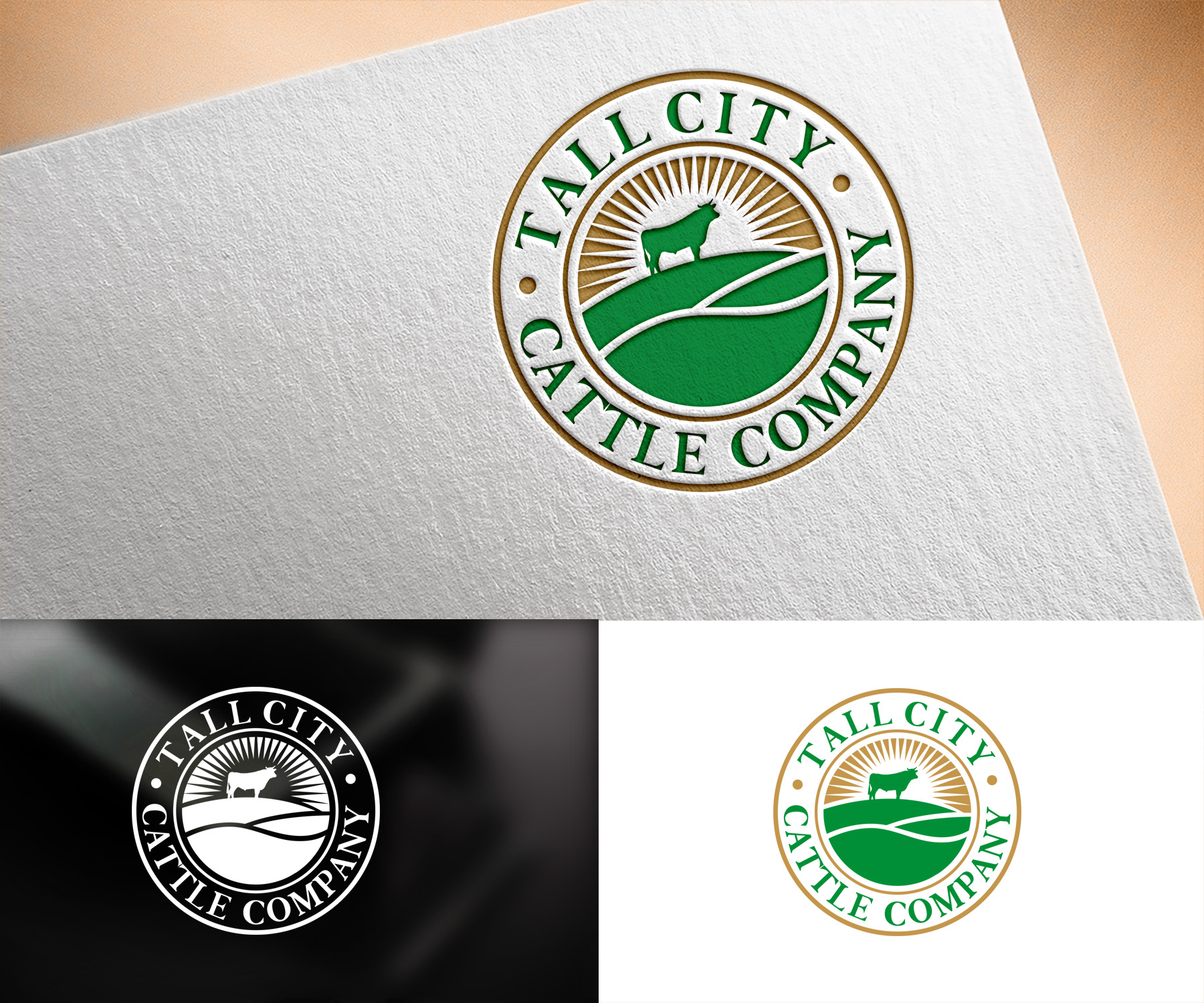 Logo Design by Vishak vasu for this project | Design #33364919