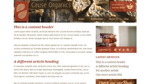 Web Design by Jack A