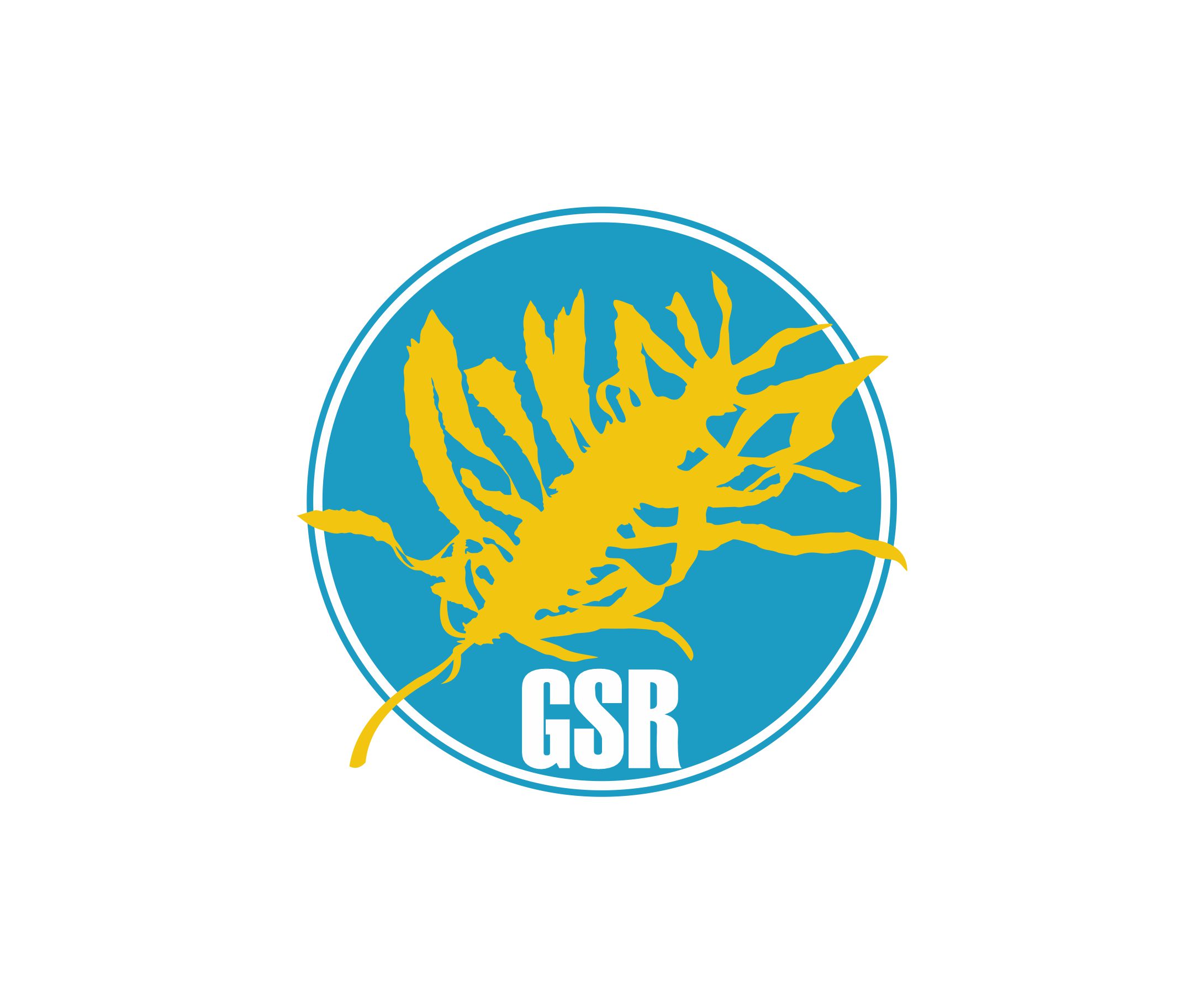 Diseño de Logo por alkaline para este proyecto | Diseño #33343549