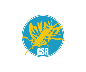 Diseño de Logo por alkaline para este proyecto | Diseño: #33343549