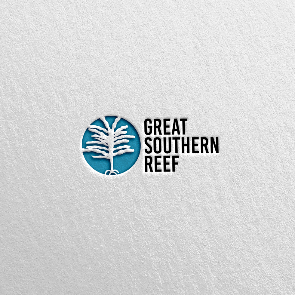 Diseño de Logo por WeiArts para este proyecto | Diseño #33351821