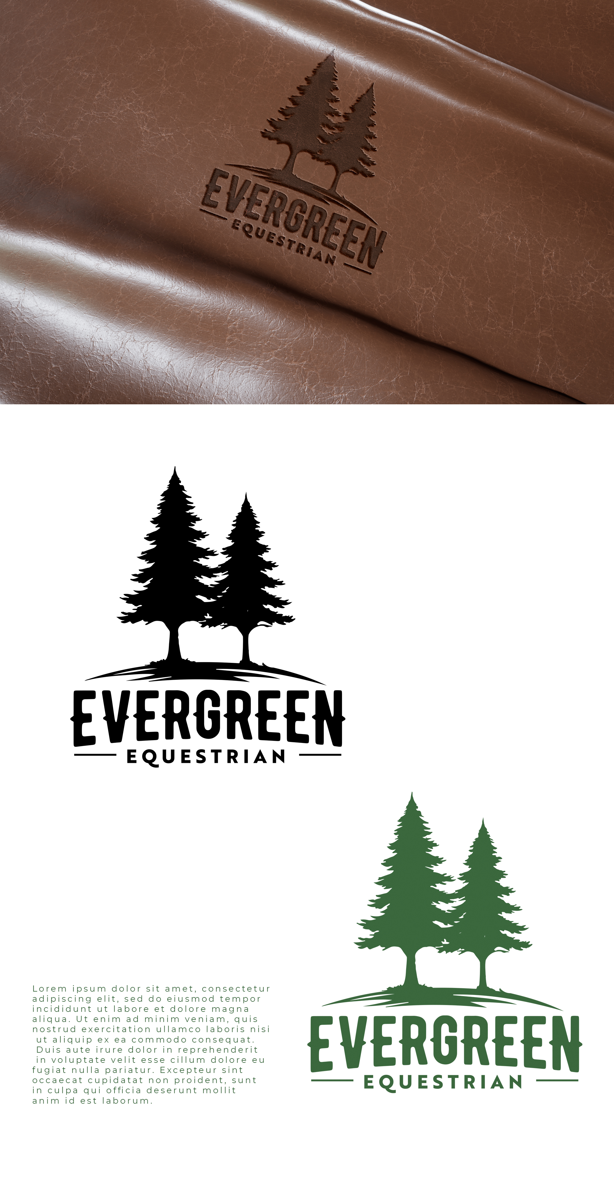 Design de Logo par Jelena B pour Crooks Show Jumping | Design #33345644