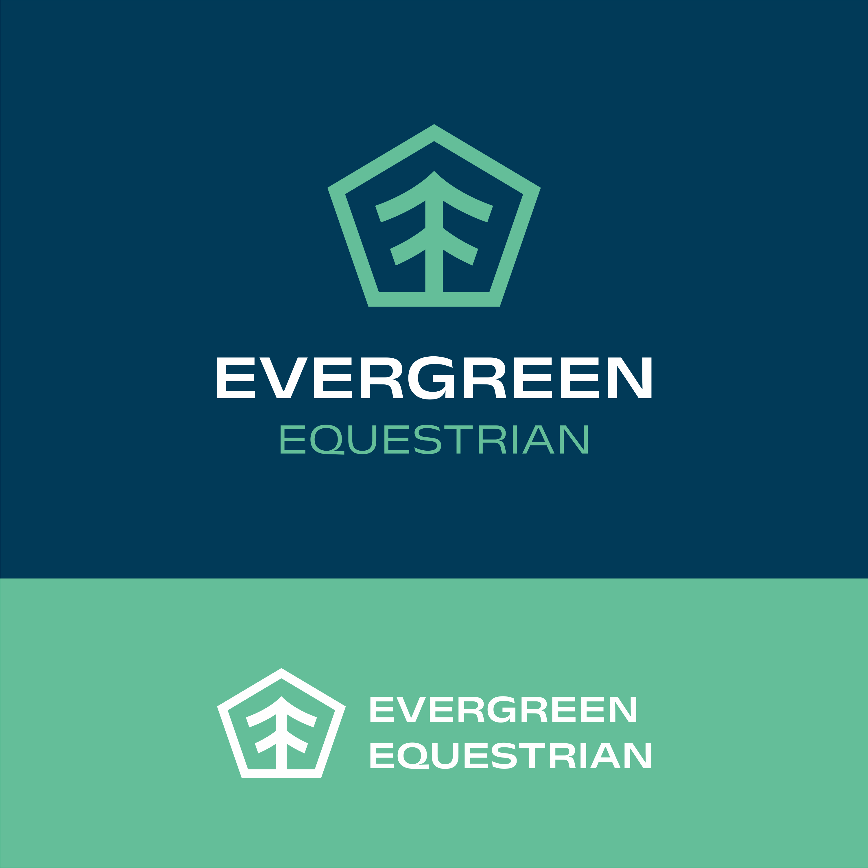 Logo Design by madrisaldi for Crooks Show Jumping | Design #33349540