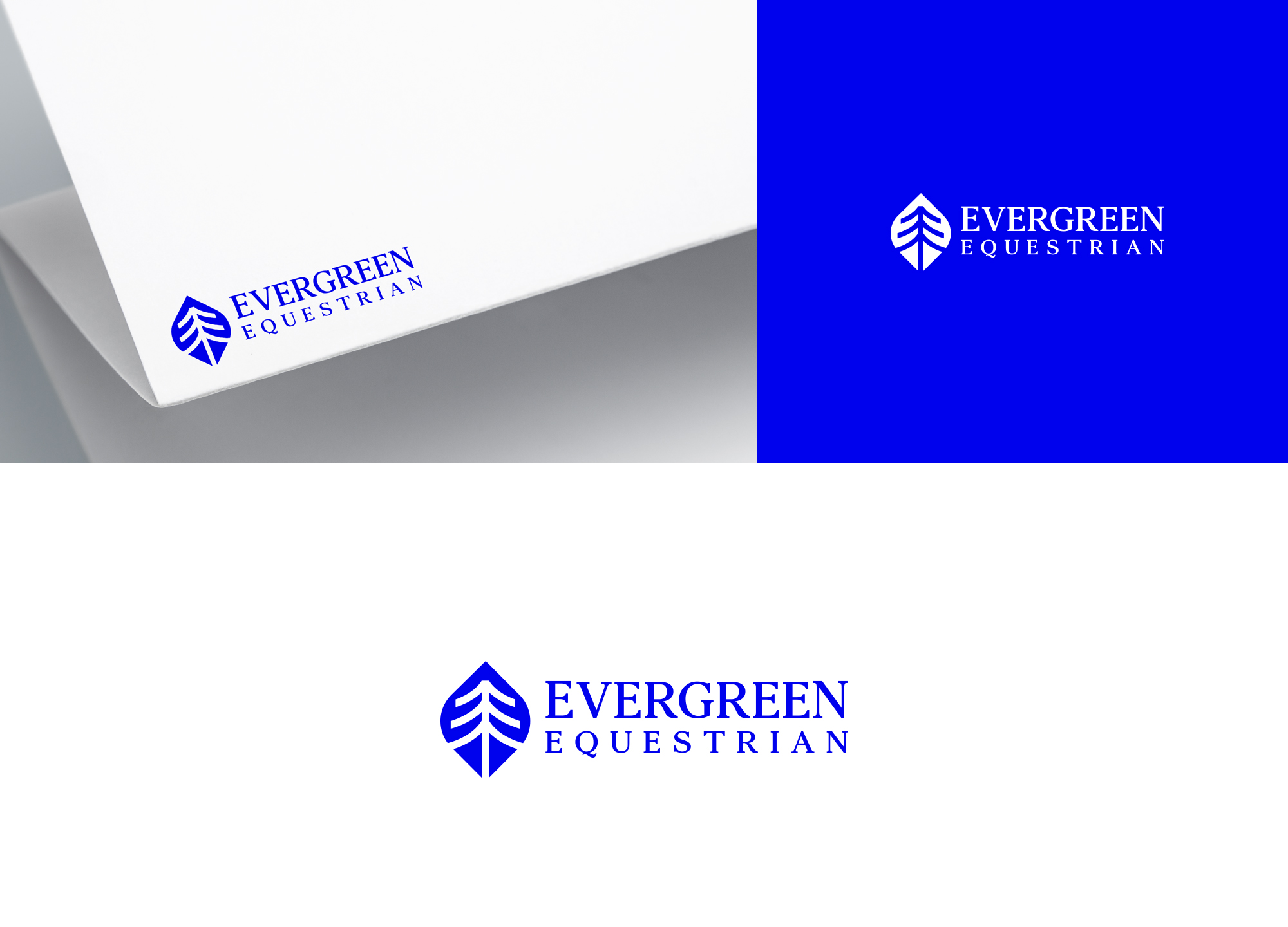 Logo Design by damakyjr for Crooks Show Jumping | Design #33559150