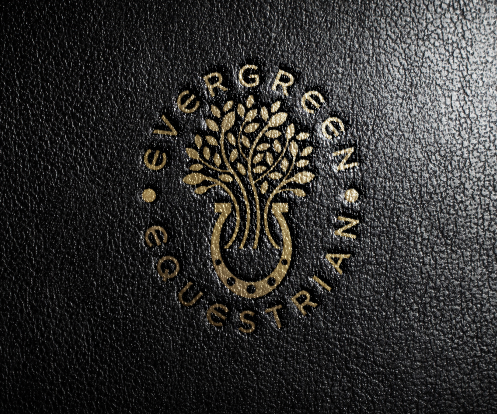 Logo Design by BabyGeniusJoe for Crooks Show Jumping | Design #33359529