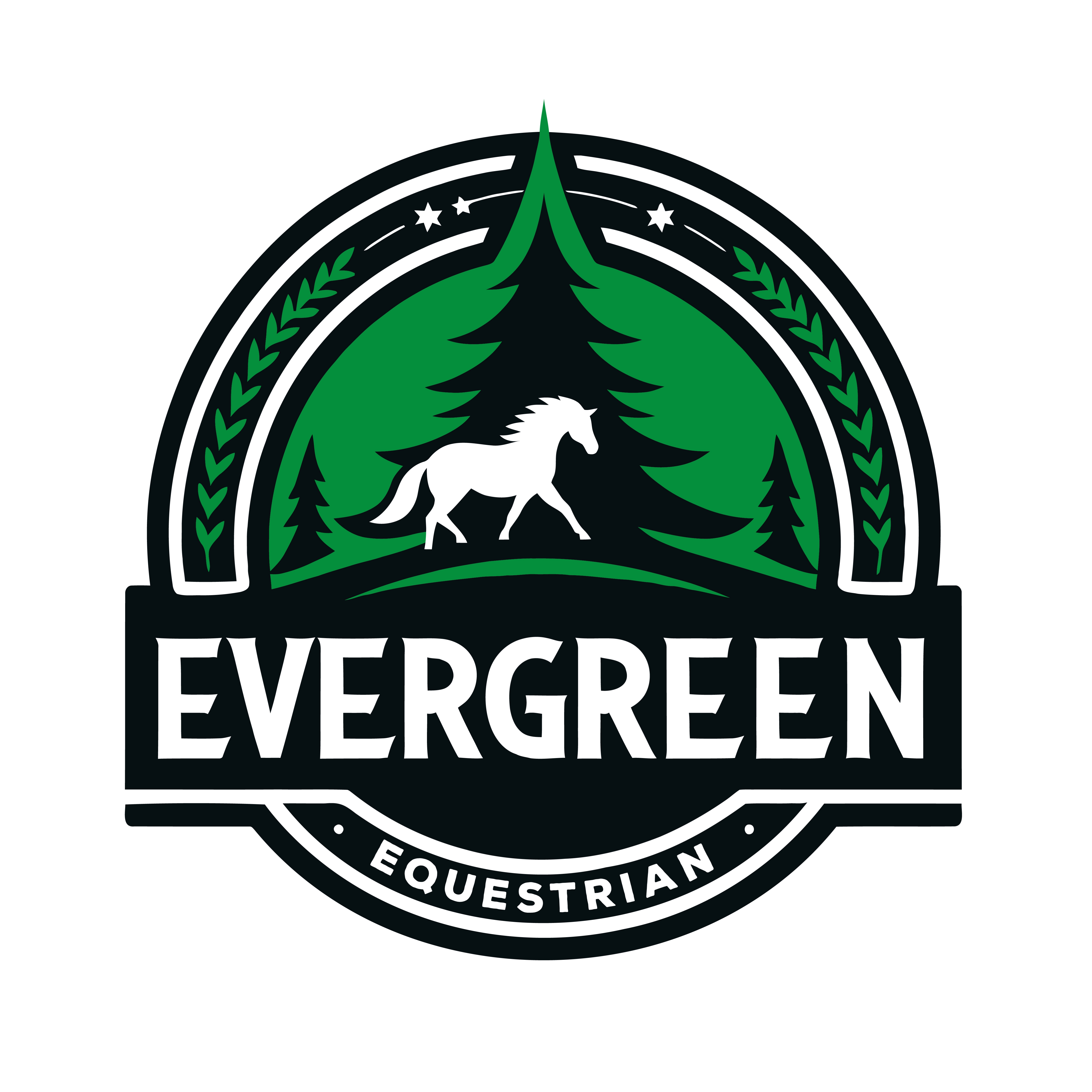 Logo Design by Andre Swaby Creative Studio for Crooks Show Jumping | Design #33351574