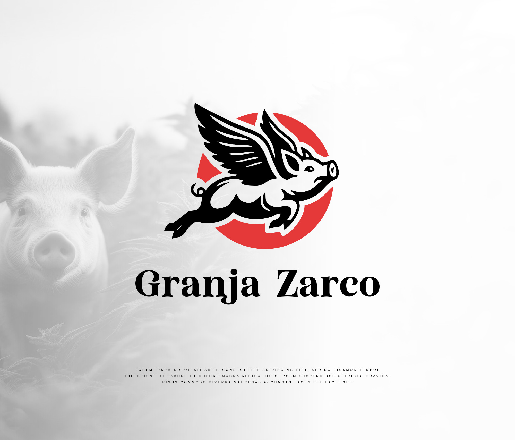 Logo Design by Manisha Muna for Saborimex Mty  | Design #33390190