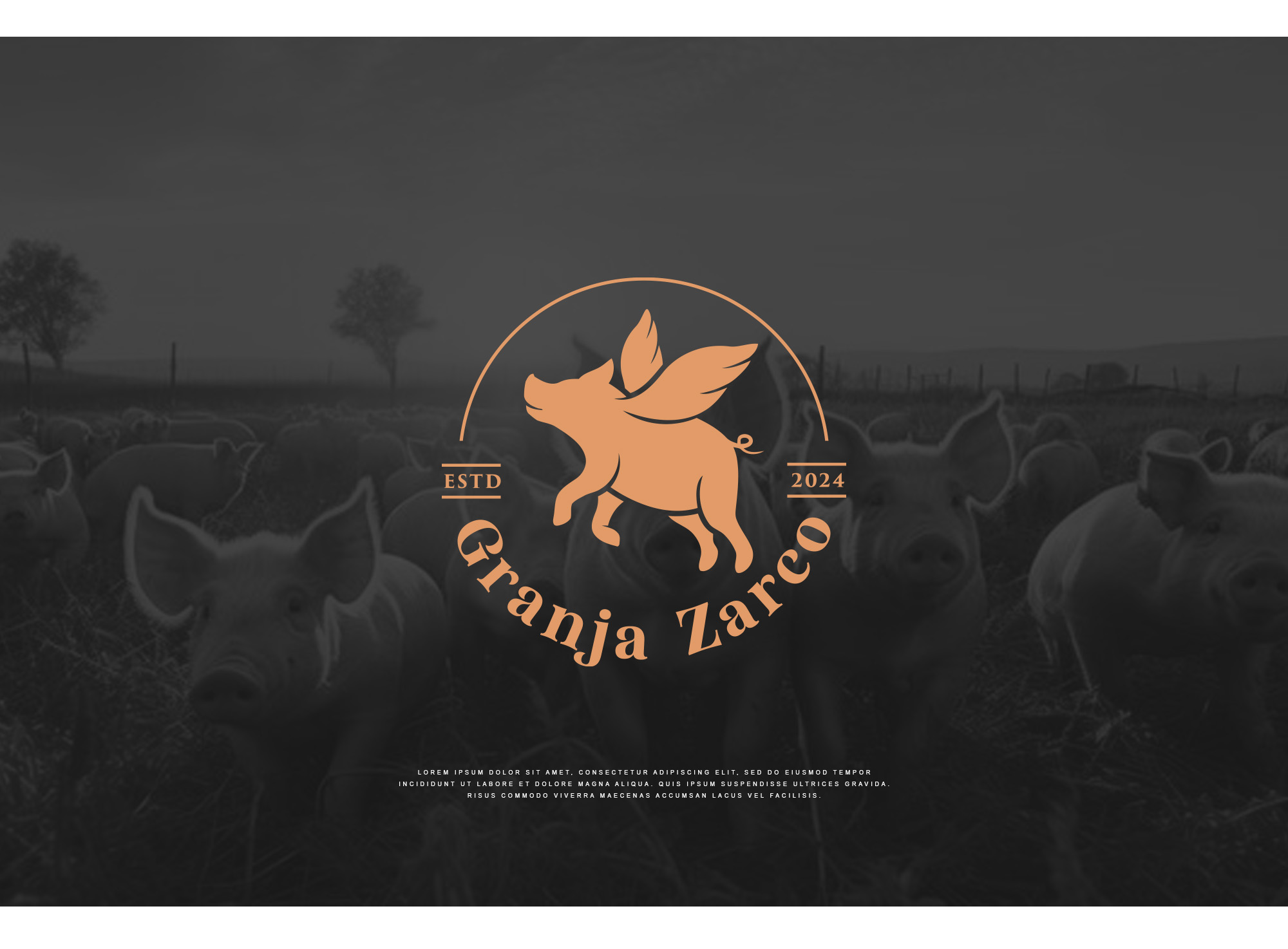 Diseño de Logo por Manisha Muna para Saborimex Mty  | Diseño #33390263