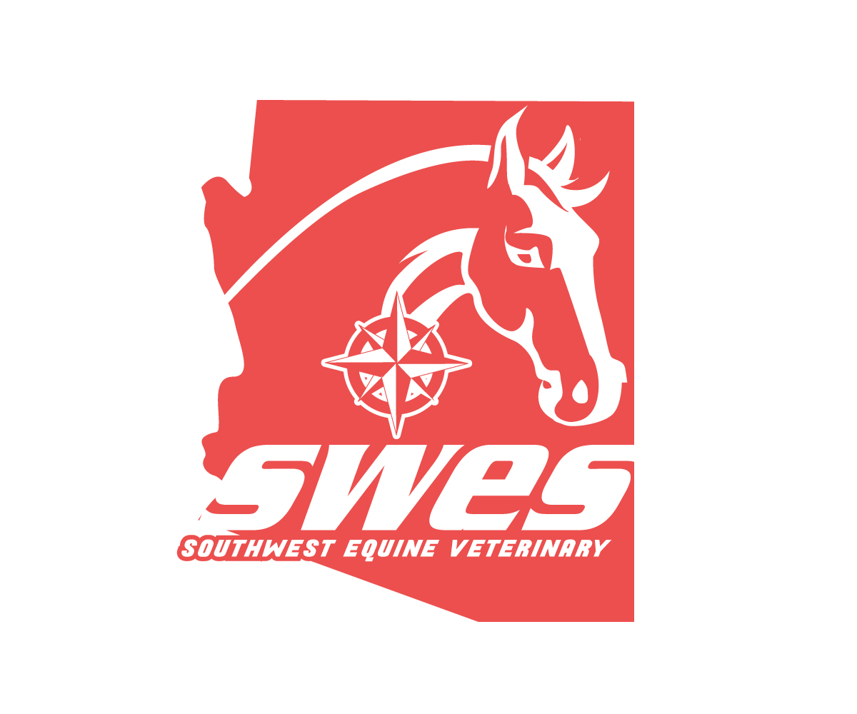 Logo Design by Paint-Tools for this project | Design #33363006