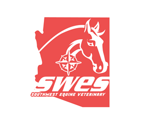 Logo Design by Paint-Tools for this project | Design: #33363006