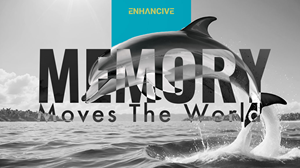 Graphic Design by Jyreme for Memzy | Design: #33471355