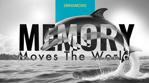 Graphic Design by Jyreme for Memzy | Design: #33472376