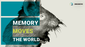 Graphic Design by Jyreme for Memzy | Design: #33479987