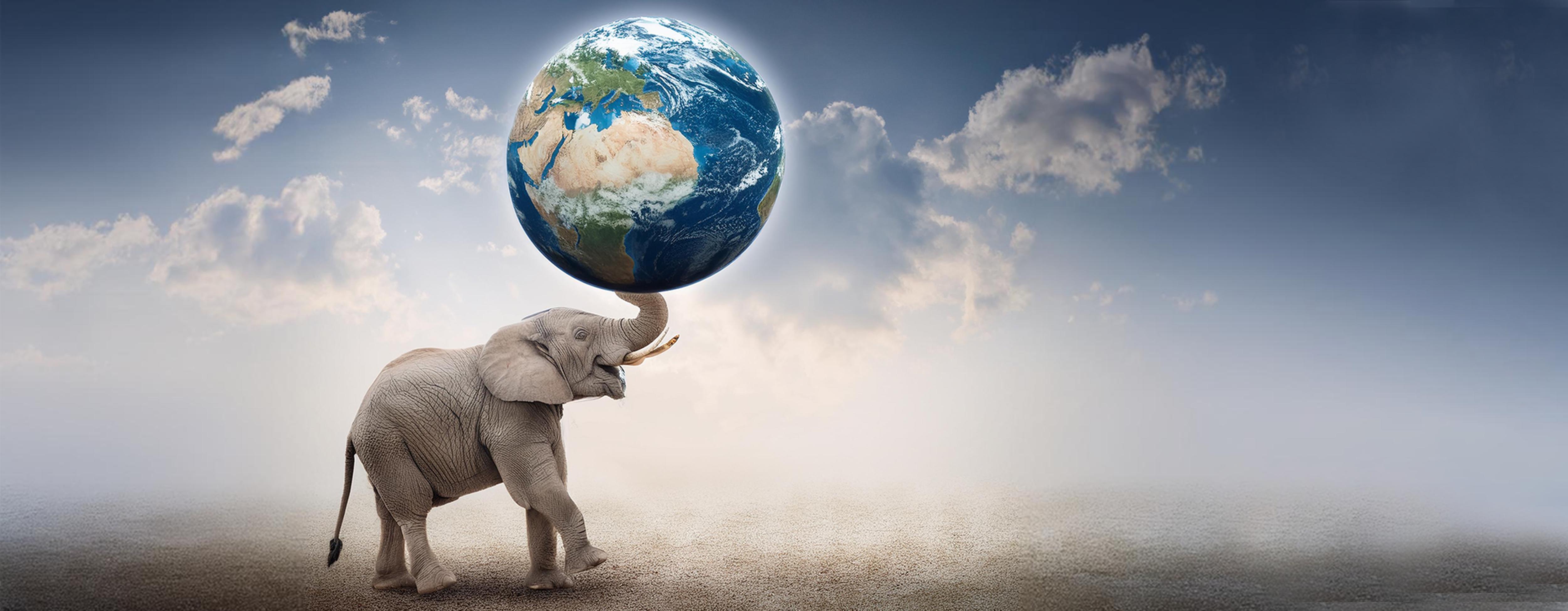 Graphic Design by alice for Memzy | Design #33398795