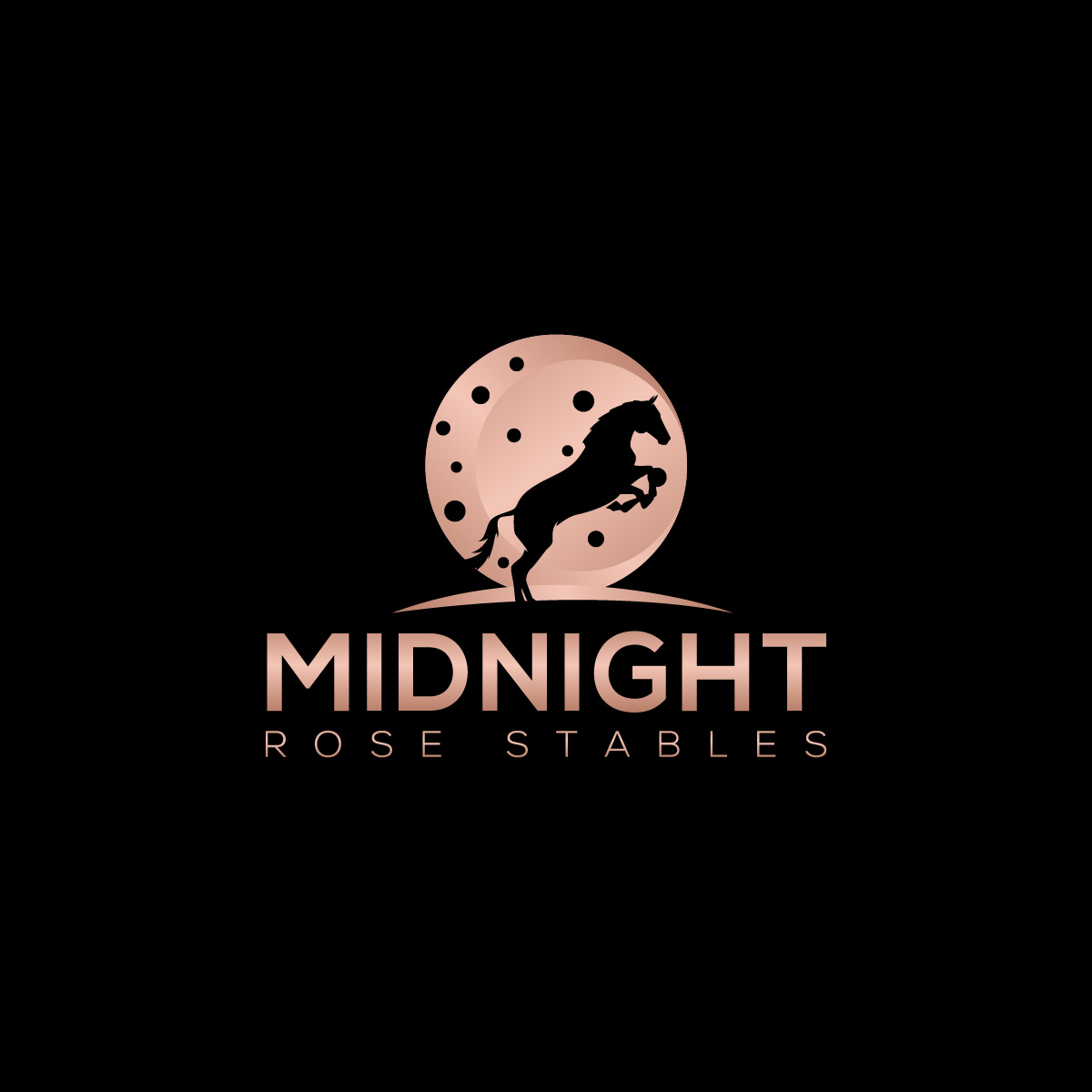 Design de Logo par fly  design pour ce projet | Design #33374739