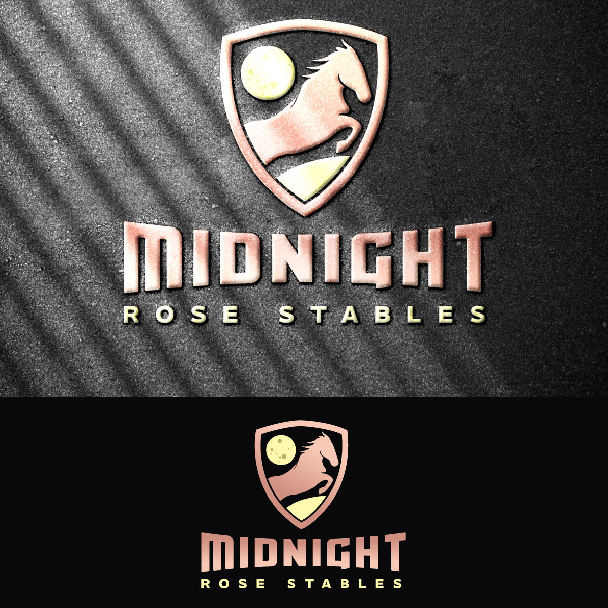 Design de Logo par fly  design pour ce projet | Design #33374741