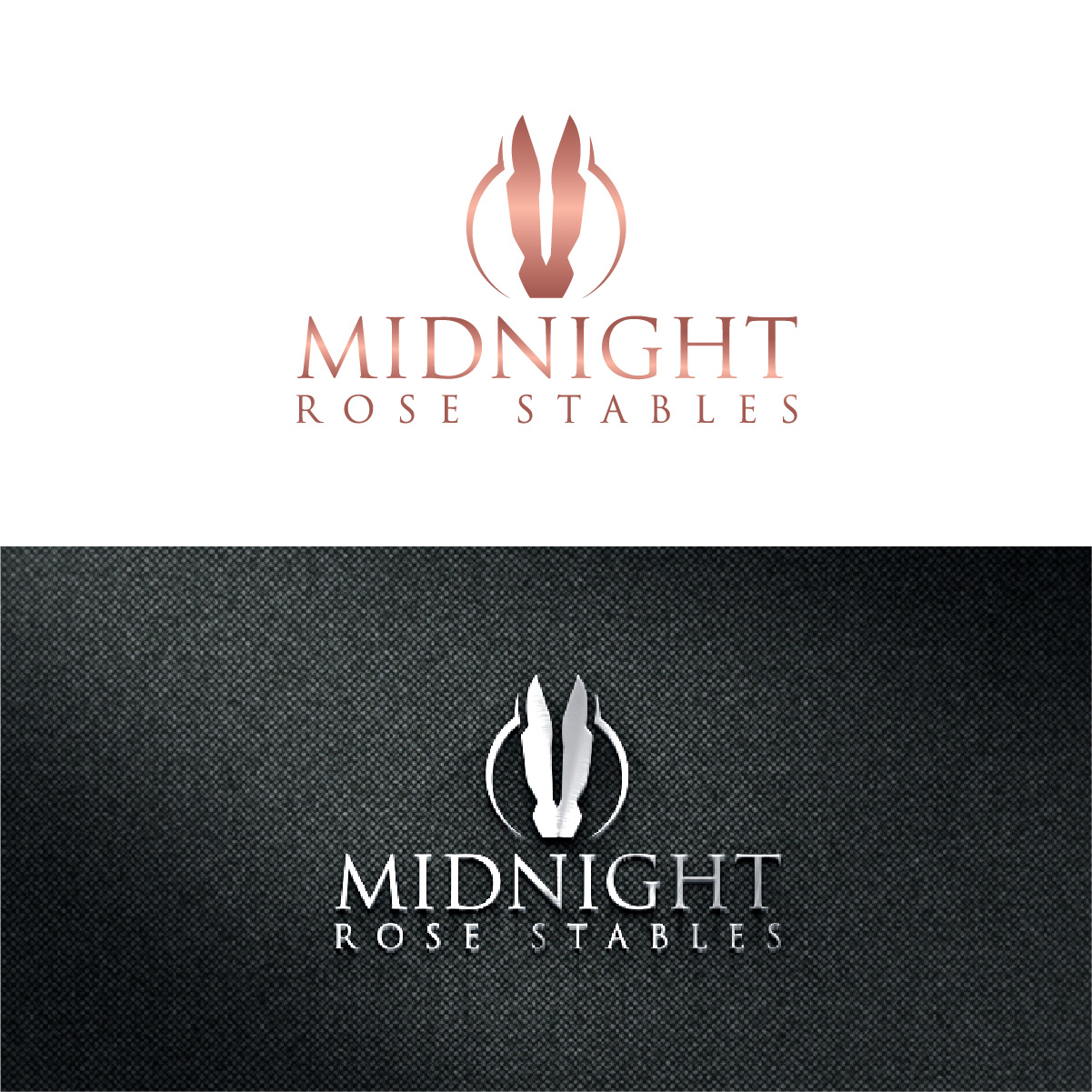 Design de Logo par fly  design pour ce projet | Design #33375375