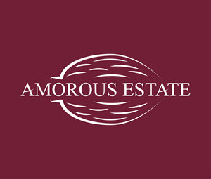 Diseño de Logo por RIO248 para este proyecto | Diseño: #33410893