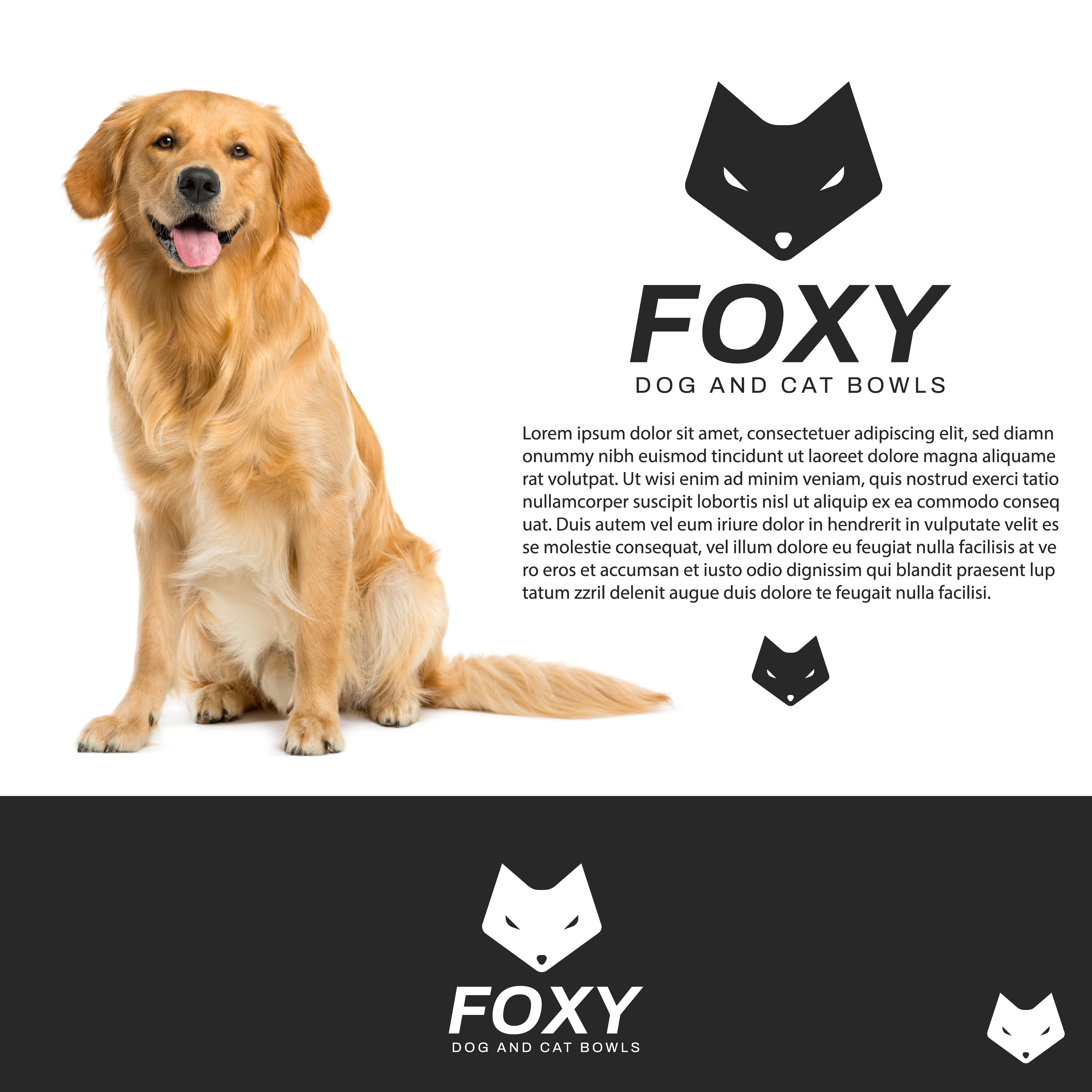 Logo Design by Dracuz for this project | Design #33403716